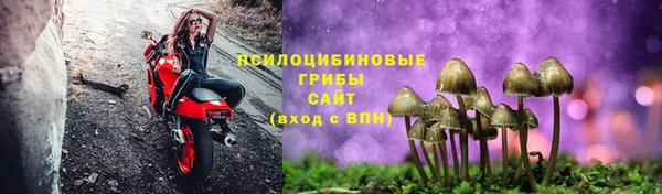 мет Новодвинск