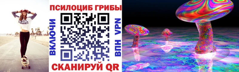 Псилоцибиновые грибы Cubensis Купить где Ленинградская
